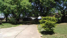 Esapcio verde